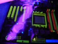 DSC03927.JPG DSC03927.JPG