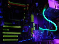 DSC03937.JPG DSC03937.JPG