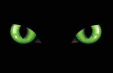 GreenEyedMonster.PNG GreenEyedMonster.PNG