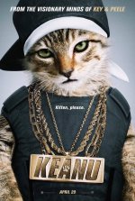 Keanu_Kitten.jpg