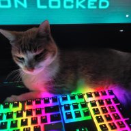 ShmeeCat